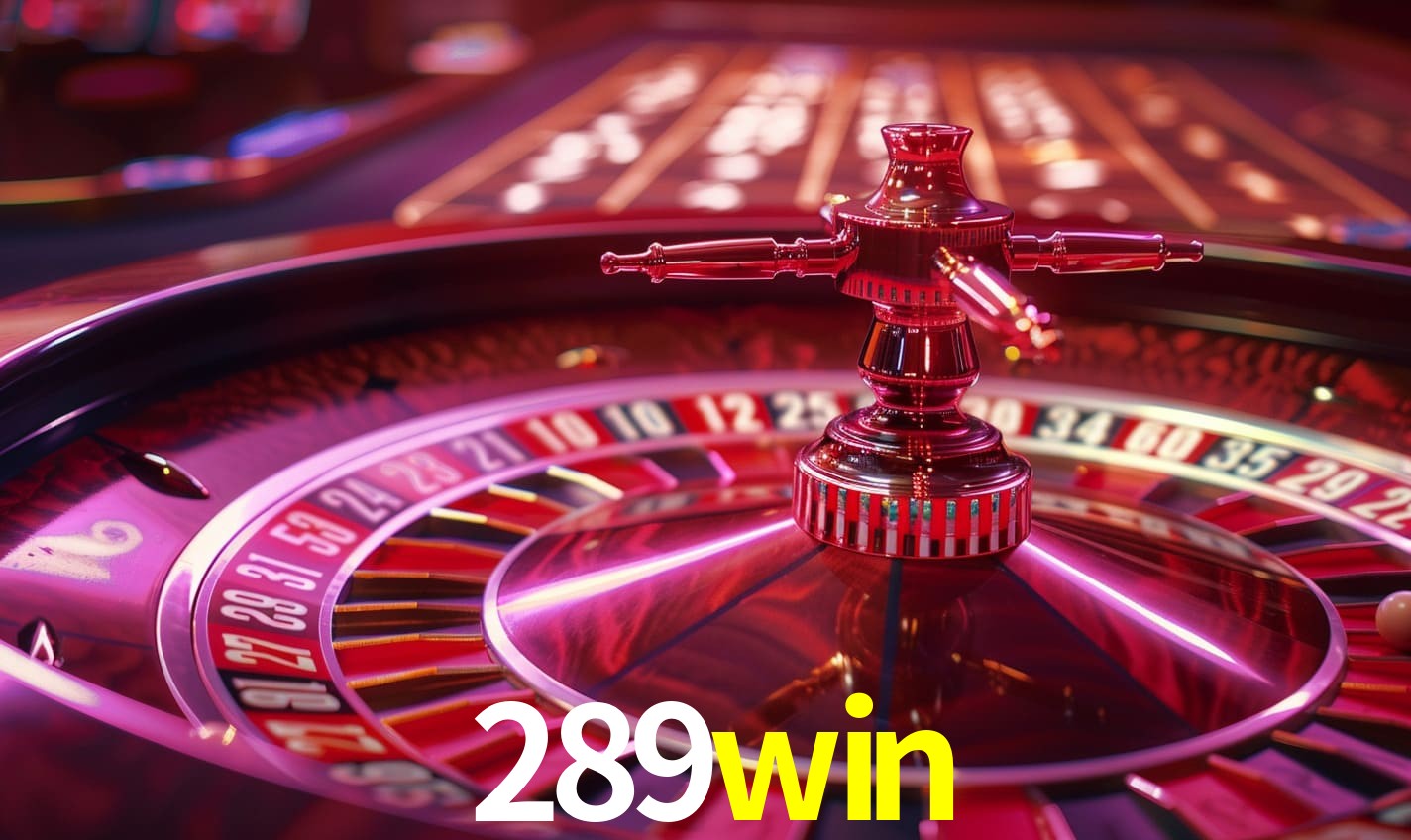 Interface do App 289win
